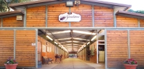Sandstone Horse Sales - Thousand Oaks